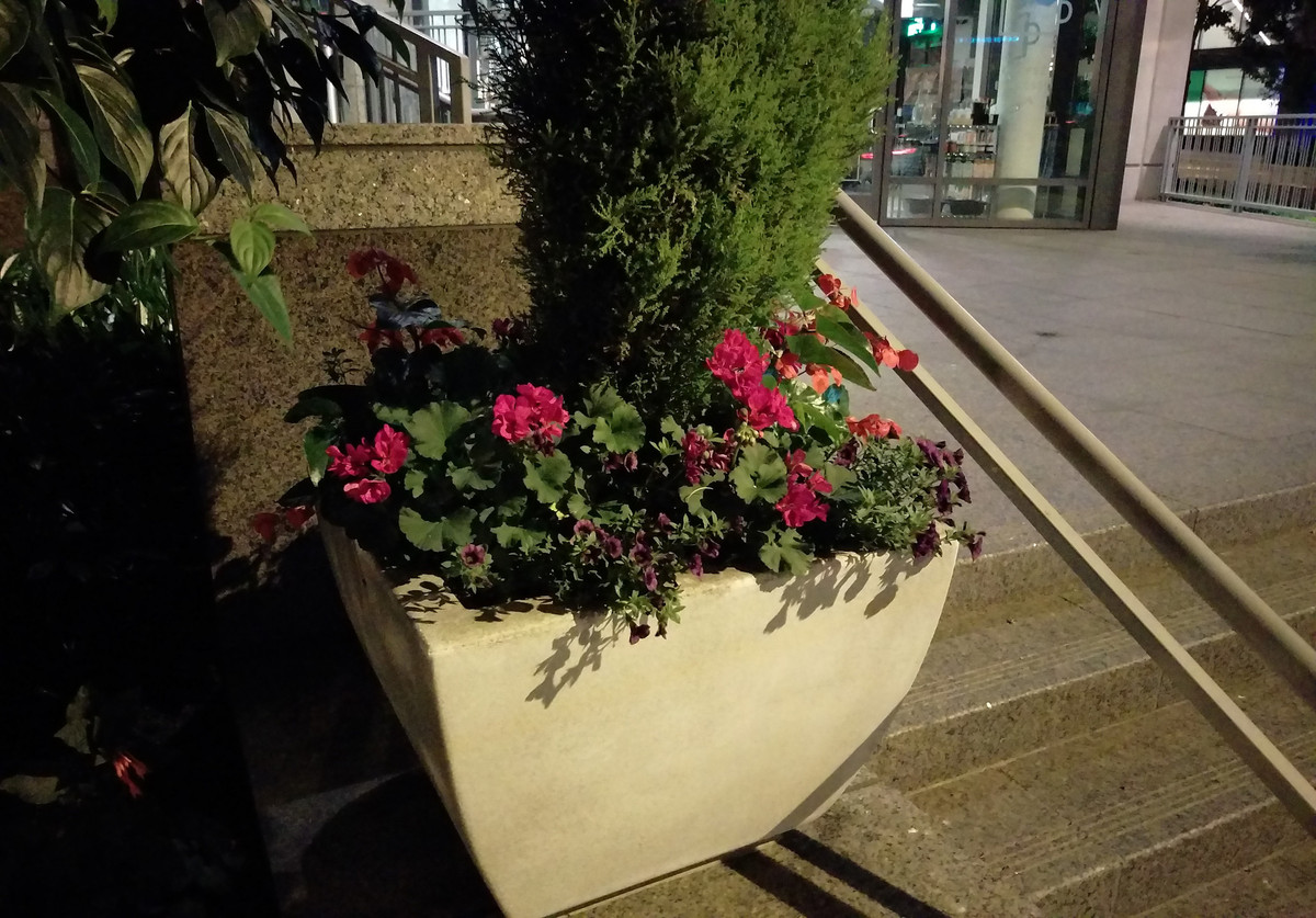 HTC One M9 Camera Before And After The Firmware Update