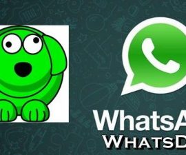 How-To: Spy On Your WhatsApp Contact’s Last Seen With WhatsDog