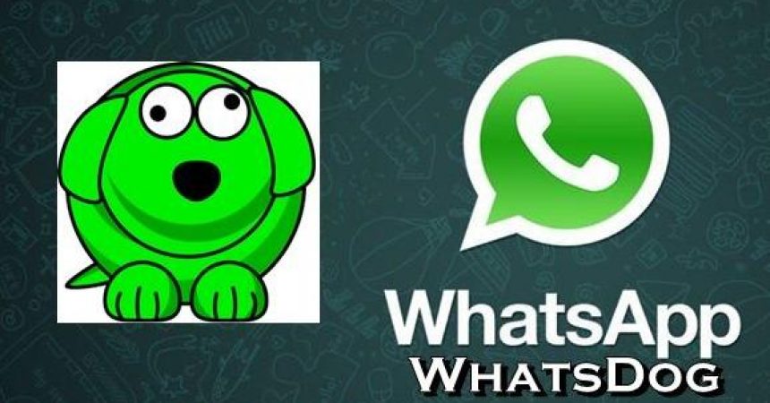 How-To: Spy On Your WhatsApp Contact’s Last Seen With WhatsDog