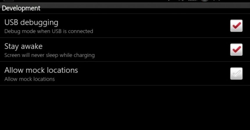 Getting To Know Android Developer Settings