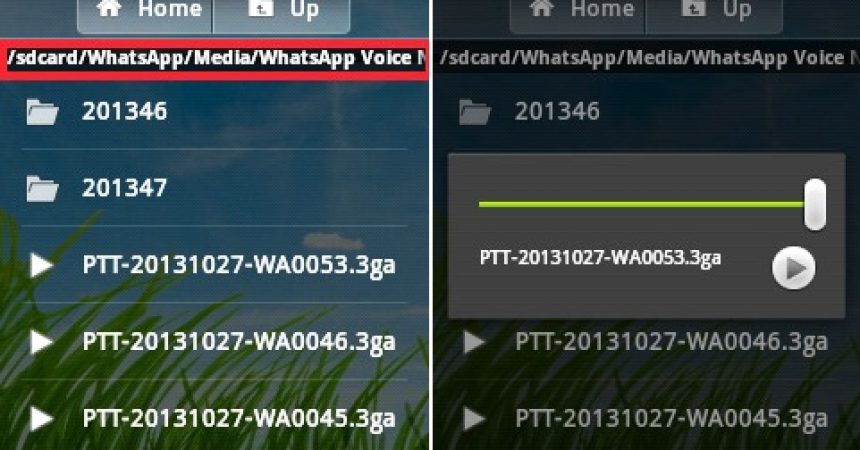 Delete WhatsApp Voice Messages