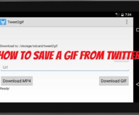 How to Save a GIF from Twitter