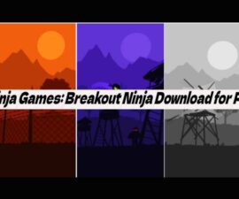 Ninja Games: Breakout Ninja Download for PC