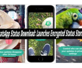 WhatsApp Status Download: Launches Encrypted Status Stories
