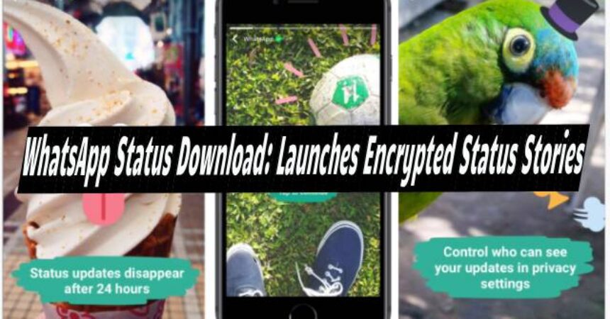 WhatsApp Status Download: Launches Encrypted Status Stories
