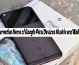 Alternative Name of Google Pixel Devices Muskie and Walleye