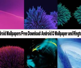 Android Wallpapers Free Download: Android O Wallpaper and Ringtone
