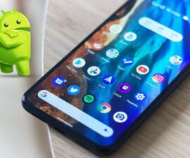 Live me app: A quick guide