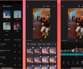 Vid Trim: Video Editing for Everyone