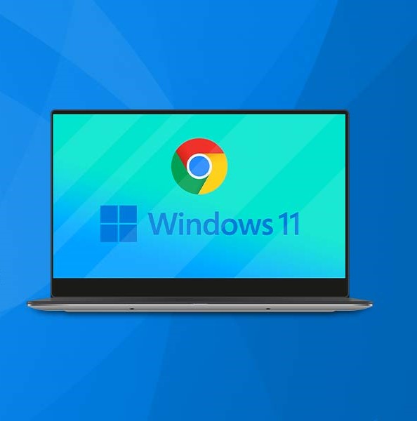 GOOGLE CHROME DOWNLOAD WINDOWS 11 PRO visual data 6