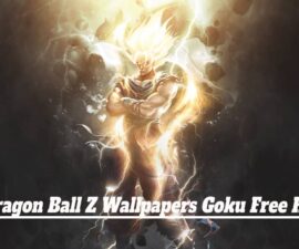 Dragon Ball Z Wallpapers Goku Free HD