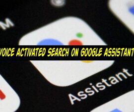 Voice Activated Search on Google Assistant