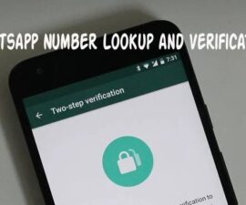 Whatsapp Number Lookup and Verification