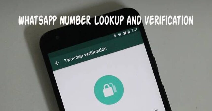 Whatsapp Number Lookup and Verification